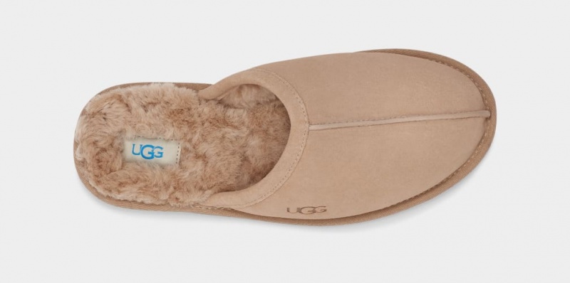 Ugg Scuff Muške Papuče Smeđe | NTE239074