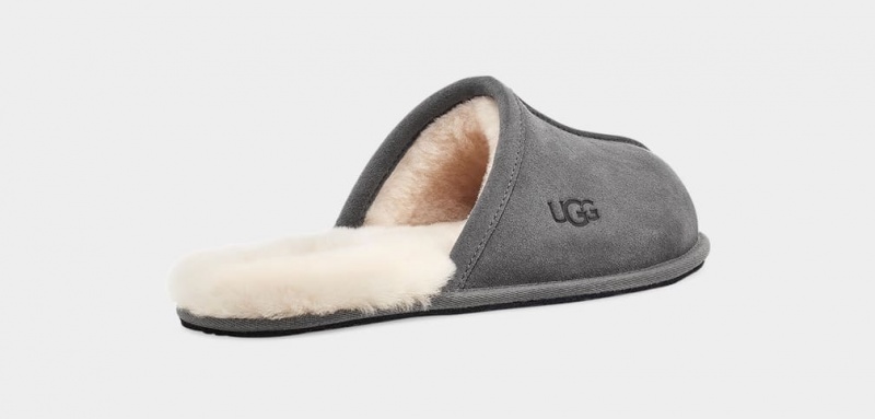 Ugg Scuff Muške Papuče Tamno Sive | QXI213540