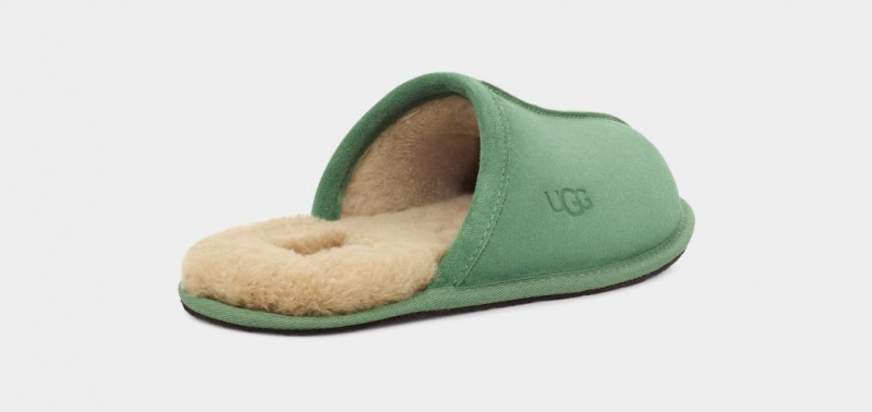 Ugg Scuff Muške Papuče Zelene | SVZ943180