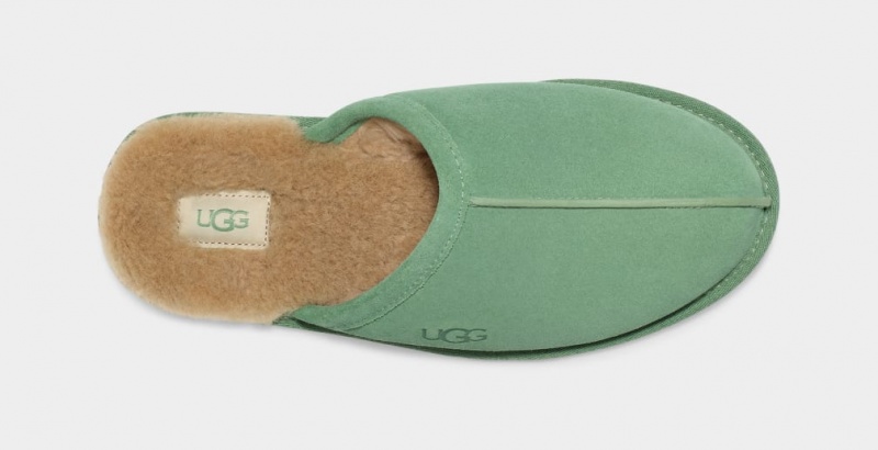 Ugg Scuff Muške Papuče Zelene | SVZ943180