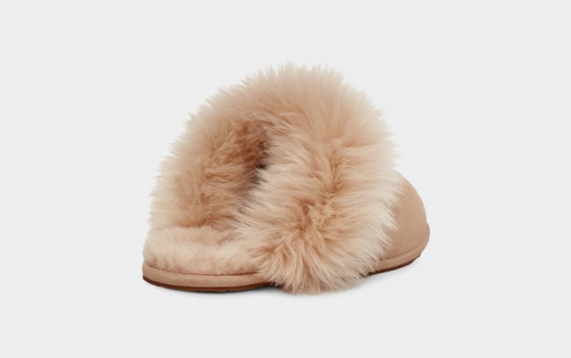 Ugg Scuff Sis Ženske Papuče Smeđe | FUQ483916