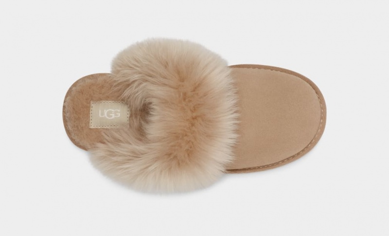 Ugg Scuff Sis Ženske Papuče Smeđe | FUQ483916