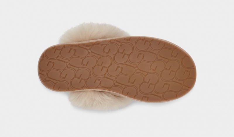 Ugg Scuff Sis Ženske Papuče Smeđe | FUQ483916