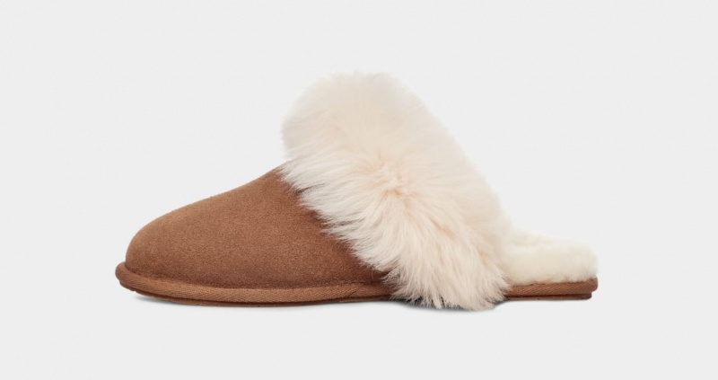 Ugg Scuff Sis Ženske Papuče Smeđe | HOA620754