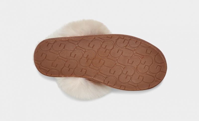 Ugg Scuff Sis Ženske Papuče Smeđe | HOA620754