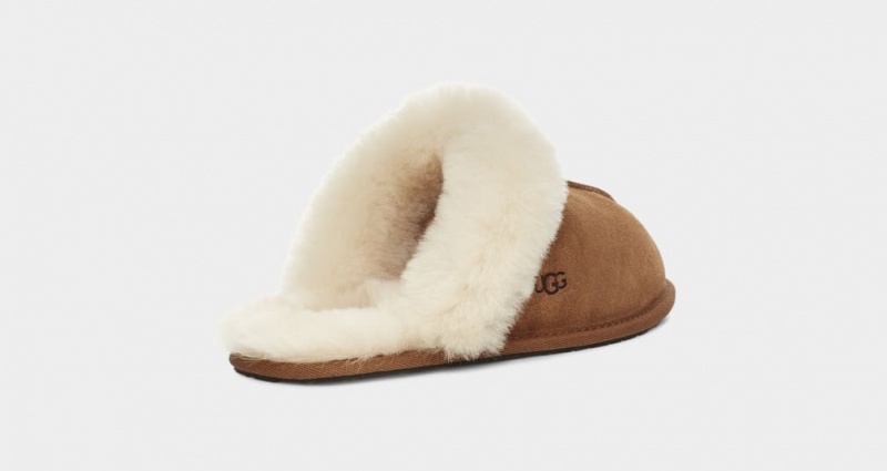 Ugg Scuffette II Ženske Papuče Smeđe | TZJ698453