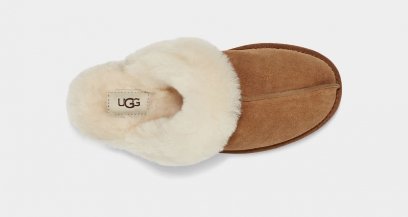 Ugg Scuffette II Ženske Papuče Smeđe | TZJ698453