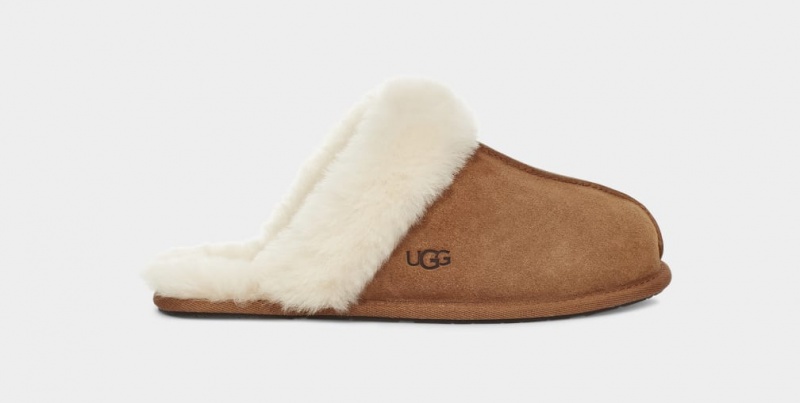 Ugg Scuffette II Ženske Papuče Smeđe | TZJ698453