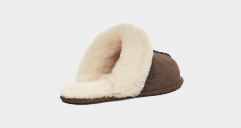 Ugg Scuffette II Ženske Papuče Smeđe | WEL173502