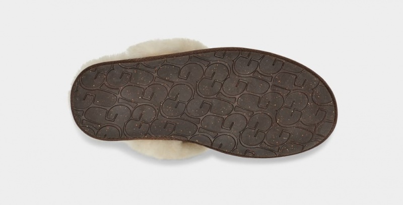 Ugg Scuffette II Ženske Papuče Smeđe | WEL173502