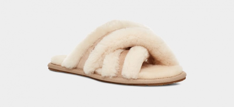 Ugg Scuffita Ženske Papuče Smeđe | QGJ284571