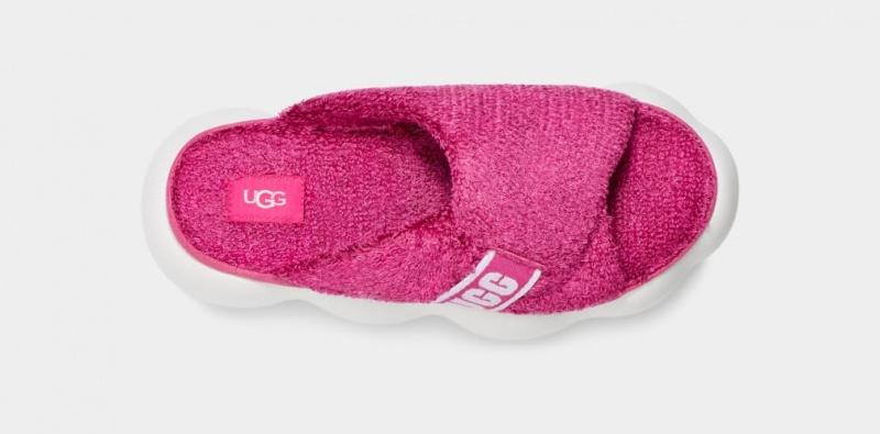 Ugg Sugarcloud Ženske Natikače Roze | ZAR768295