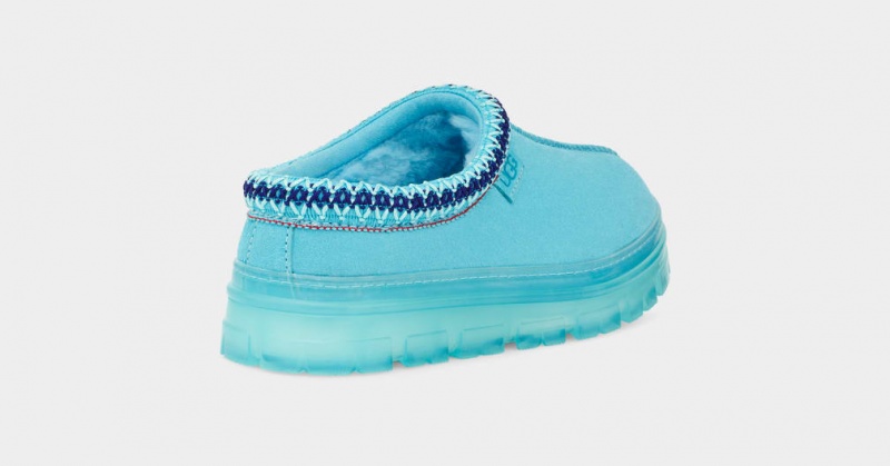 Ugg Tasman Clear Ženske Mokasinke Plave | OKW729560