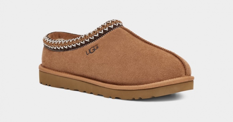 Ugg Tasman Muške Mokasinke Smeđe | FLD065812