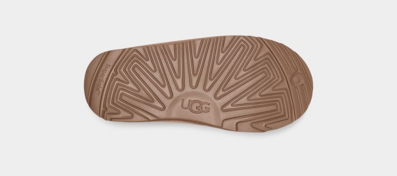 Ugg Tasman Regenerate Dječje Papuče Smeđe | XSQ605324