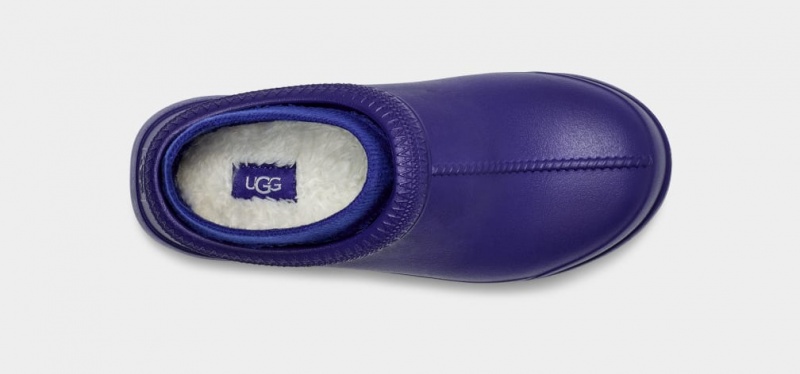 Ugg Tasman X Ženske Cizme Plave | INY824163