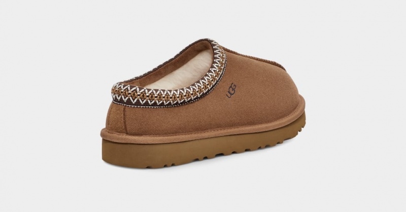 Ugg Tasman Ženske Slip On Smeđe | HIT358427