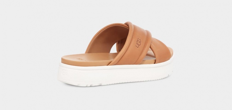 Ugg Zayne Crossband Ženske Natikače Smeđe | HYB502143