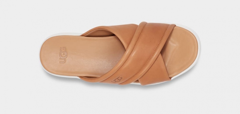 Ugg Zayne Crossband Ženske Natikače Smeđe | HYB502143